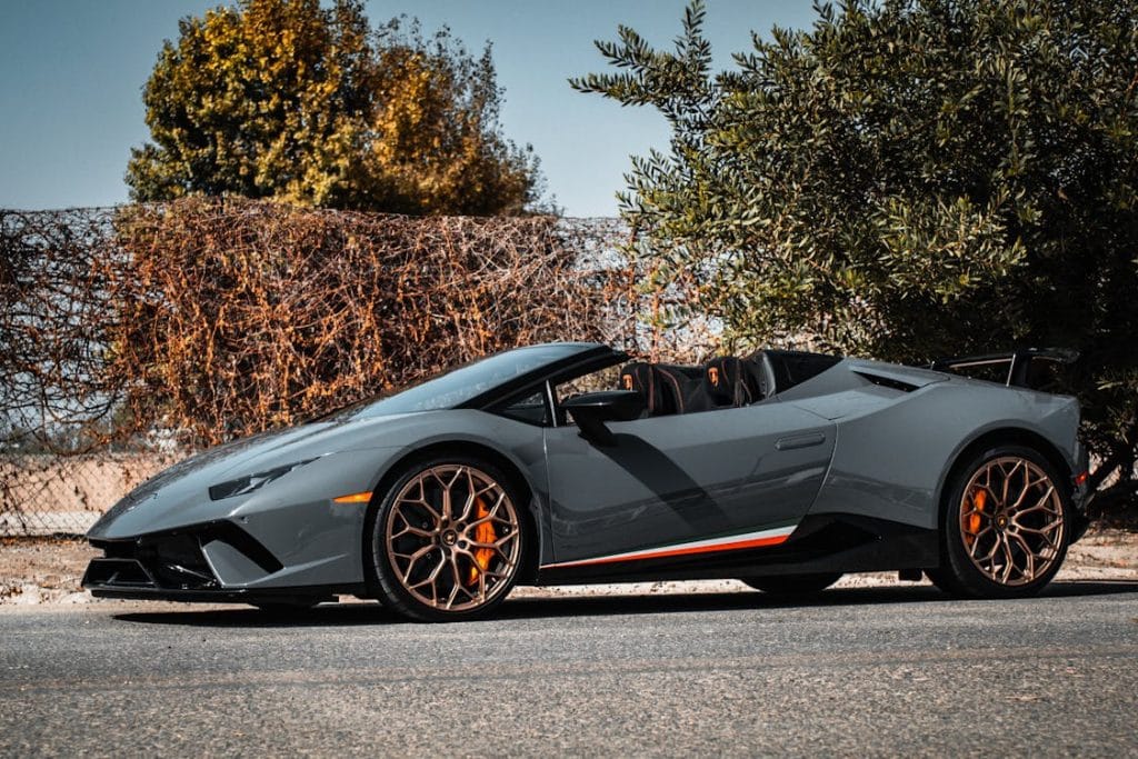 Grey Lamborghini parked in front of autumn trees